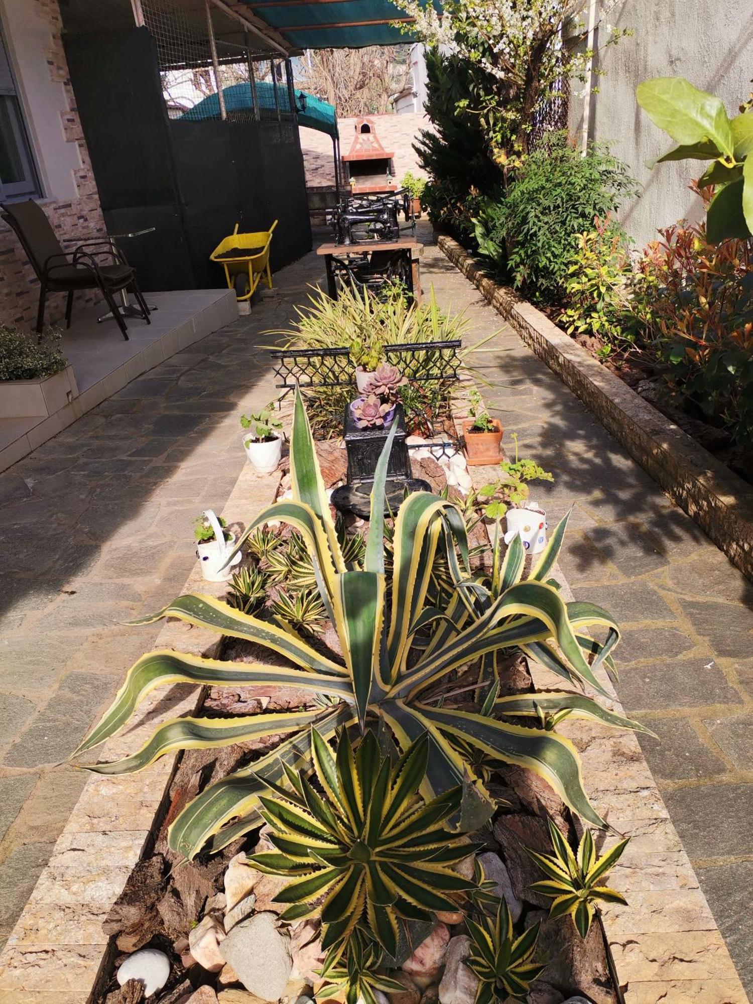 Studios Lia Adults Only -Fully Renovated Chrysi Ammoudia Buitenkant foto